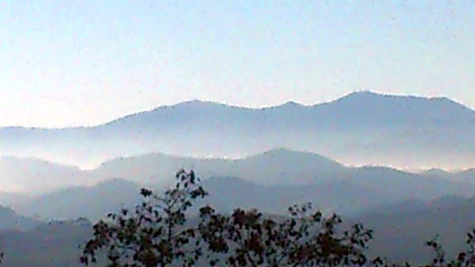 Poggio Dei Prugnoli