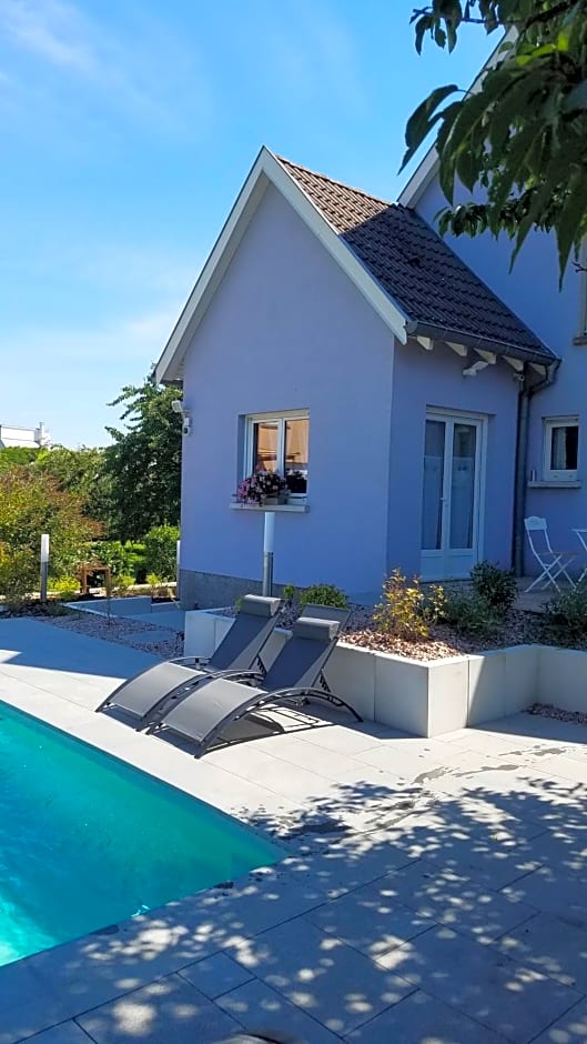 Les mésanges de l'Ill