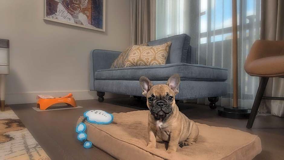 Canopy by Hilton Washington DC Embassy Row