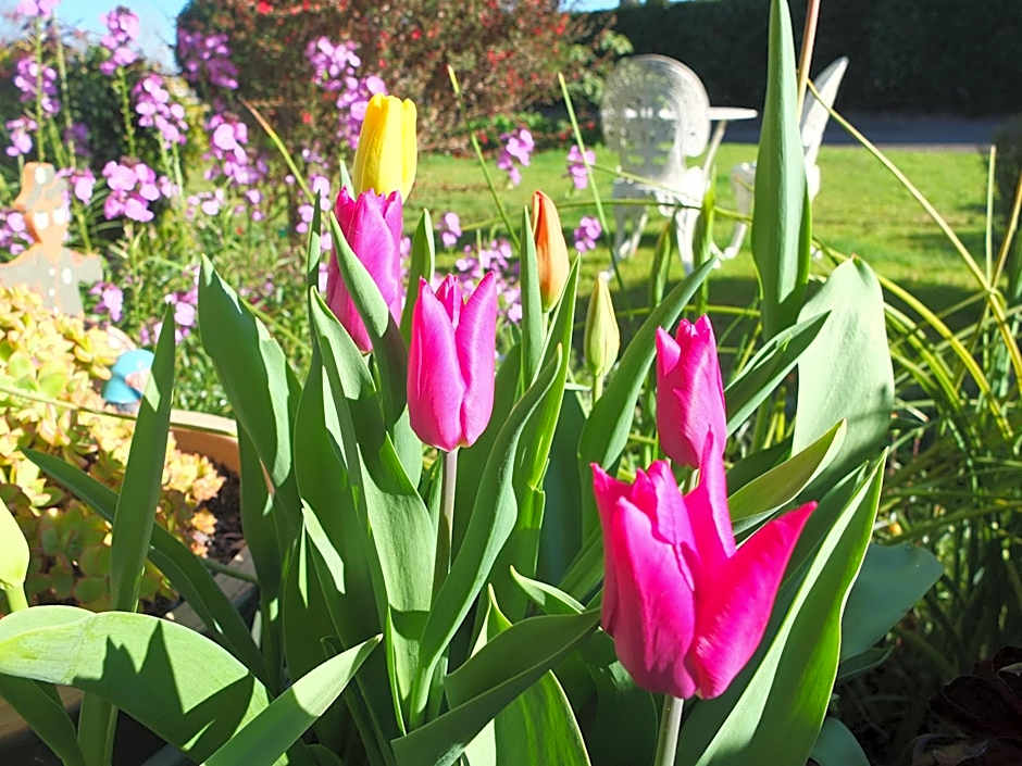 Colonial Court Motel