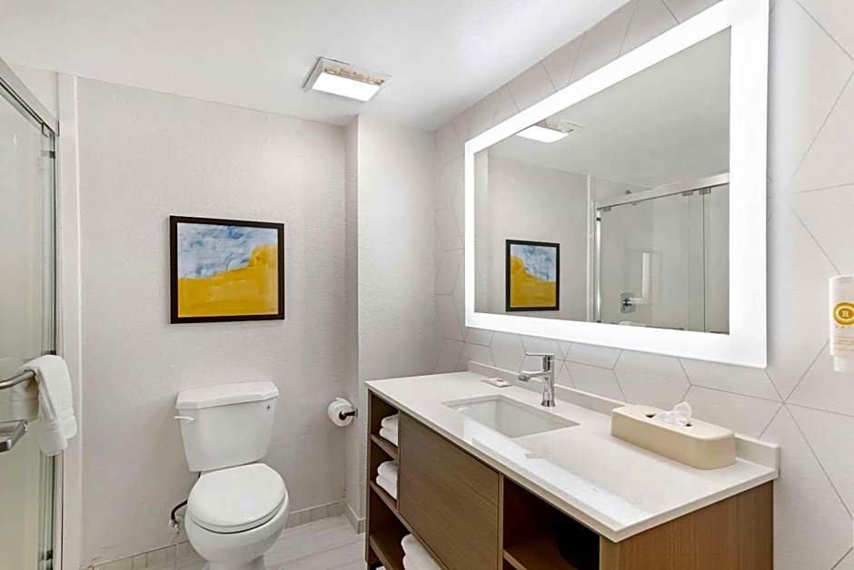 Comfort Suites Northside Hospital Gwinnett