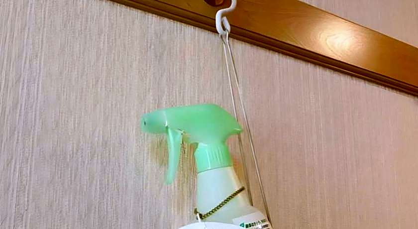 Pearl Hotel Kawasaki