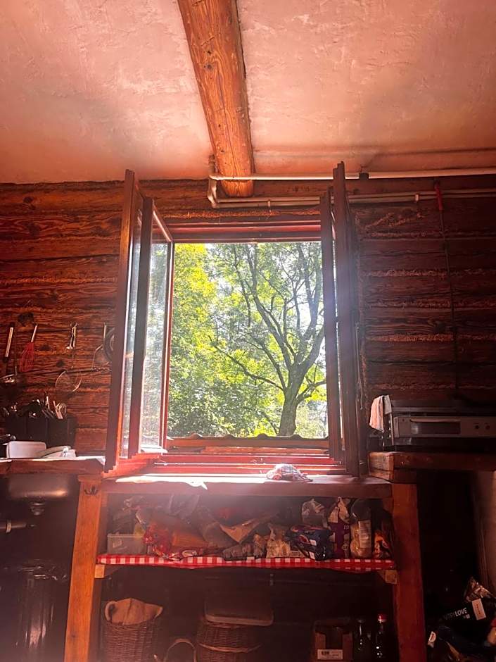 Szczerbanówka na Maniowie