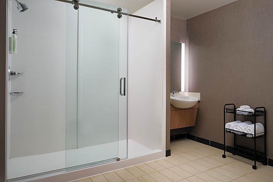 SpringHill Suites by Marriott Minneapolis-St. Paul Airport/Mall of America