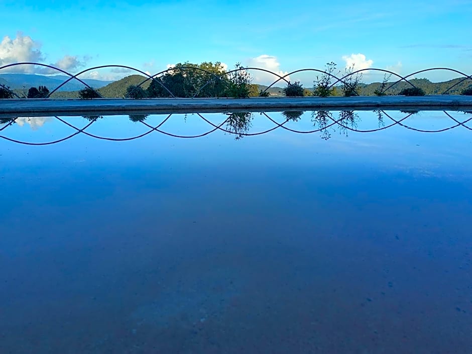 Cameron Highlands Blueberry Earth House