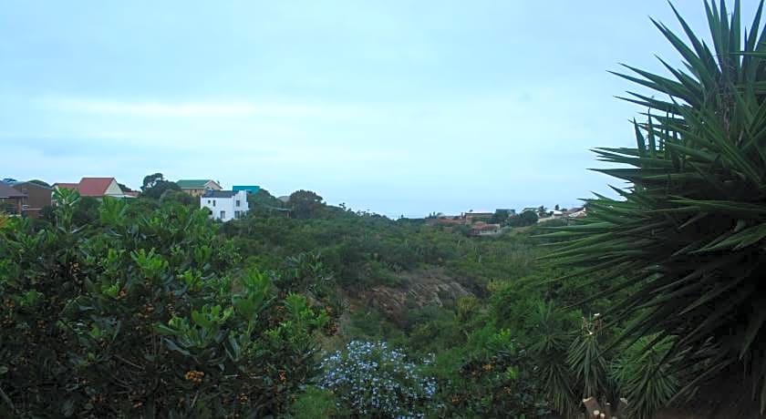 Dolphin View Guesthouse