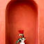 Riad Diamant Blanc