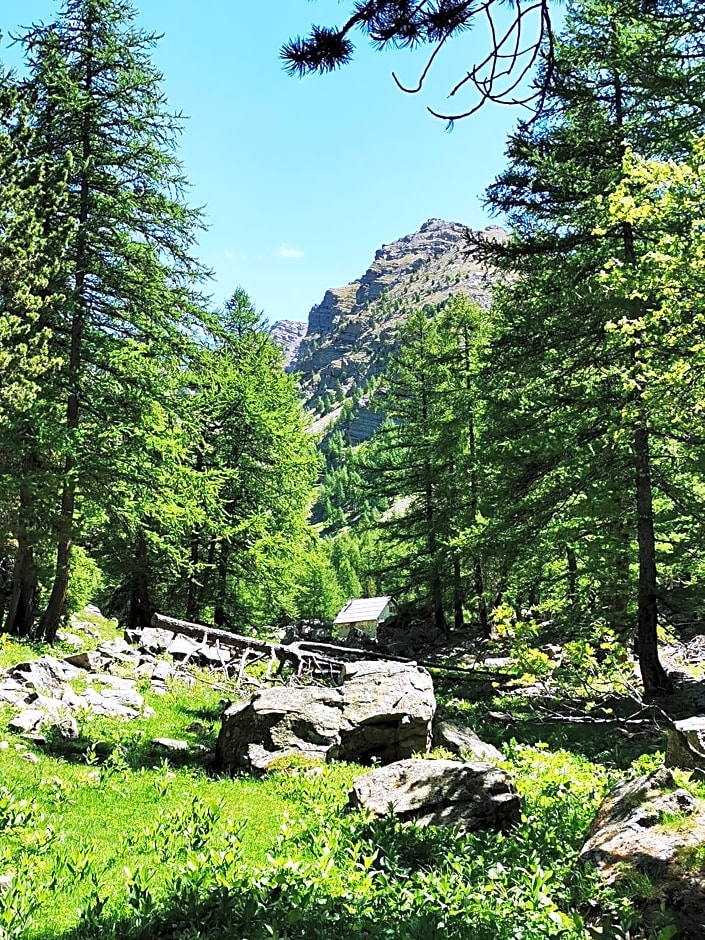 Les marmottes d Estenc