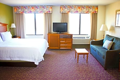 1 King Bed Studio Suite Whirlpool Nonsmoking