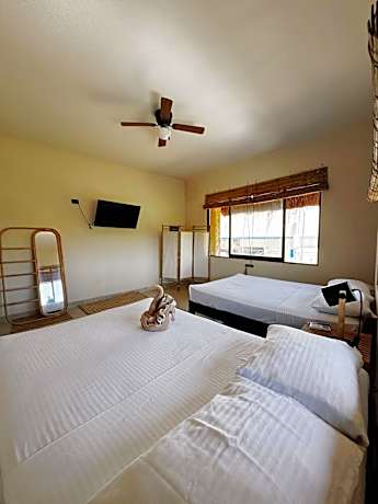 Premium Quadruple Room