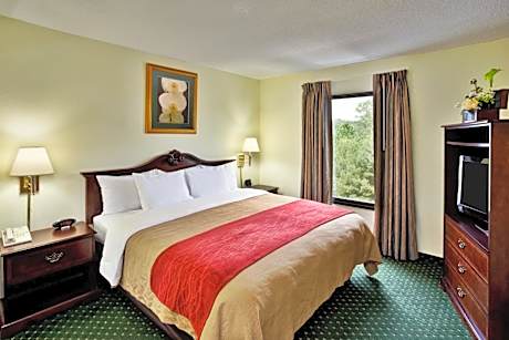 1 King Bed, Suite, Nonsmoking