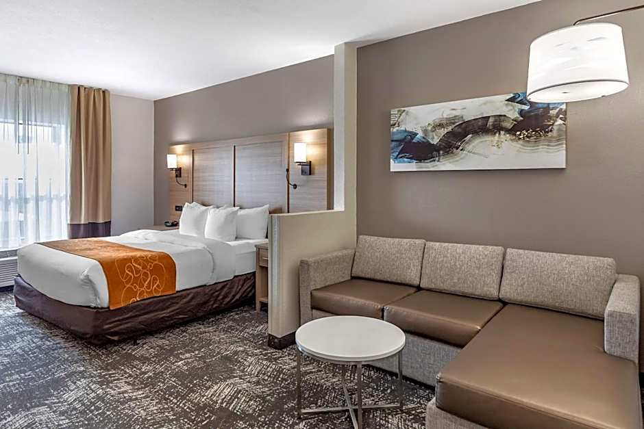 Comfort Suites Anderson-Clemson