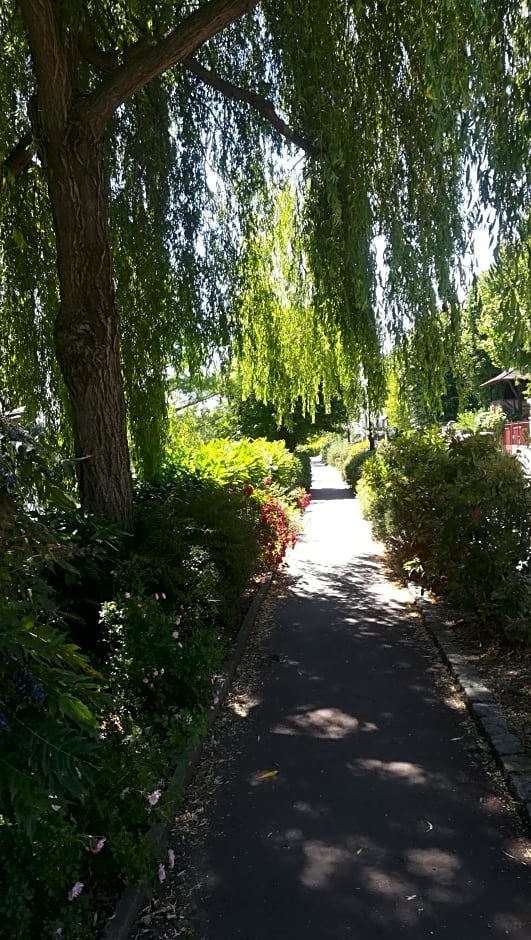 LES PINGOUINS DE LA MARNE