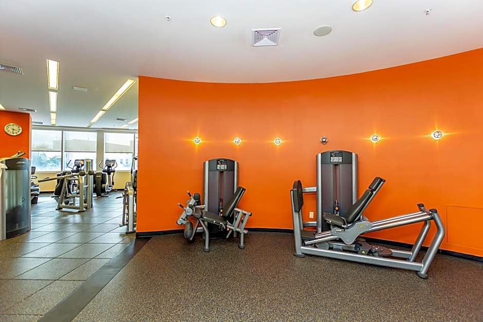 TRUMP INTL 2 BEDROOM APARTMENT 1600 Sqf Ocean and Bay View