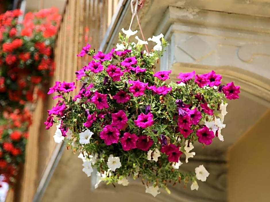 La Bella Dormiente B&B