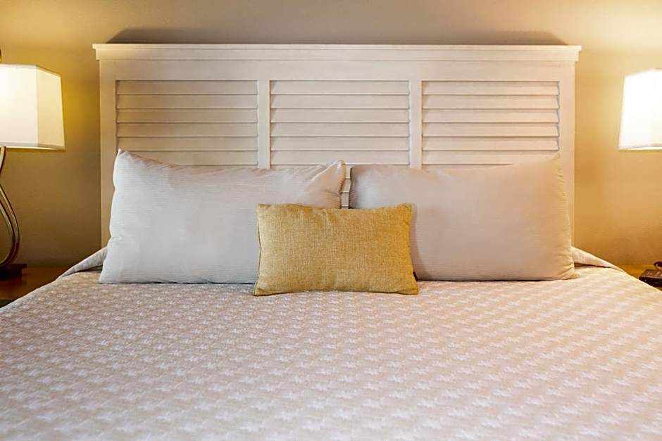 Photo 1 of 4 of 1 King Bed Suite, Park View, Top Floor