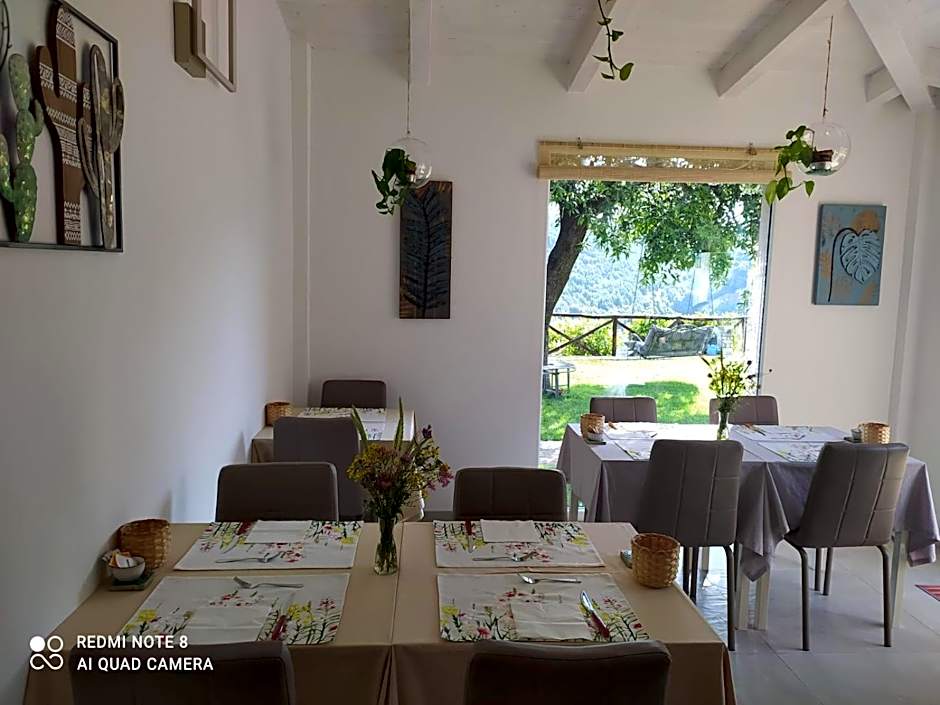 B&B Volver