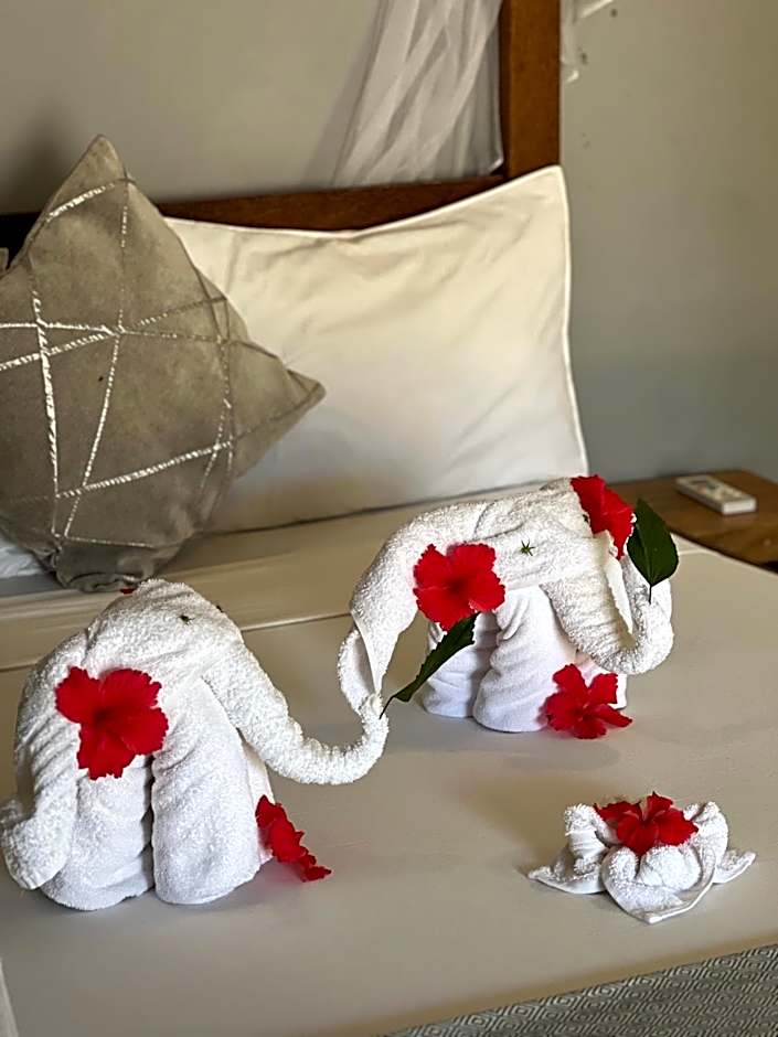 Seashore Beach hotel