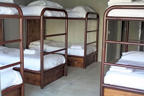 Bed in 8-Male Dormitory Room
