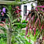 B&B Forest Hill Khao Yai