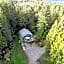 Beaver Hut Bed And Breakfast