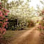 MASSERIA Le Betulle