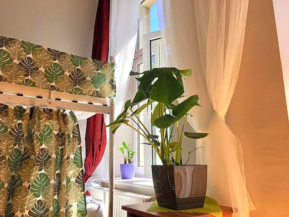 Green House – Krakow, MA