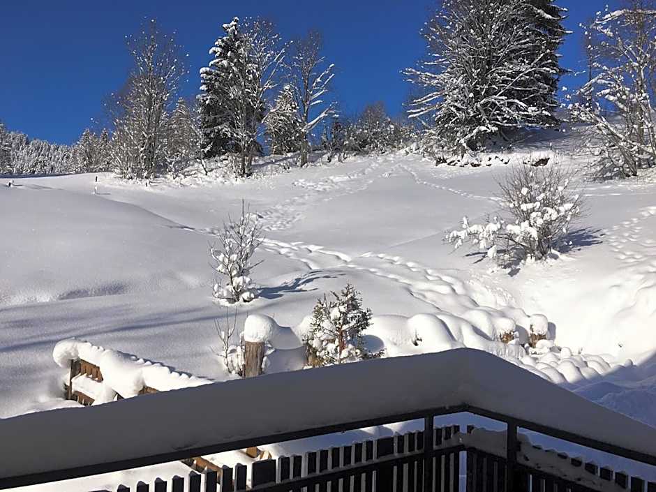 Schwarzwald-Hotel Kraeutle