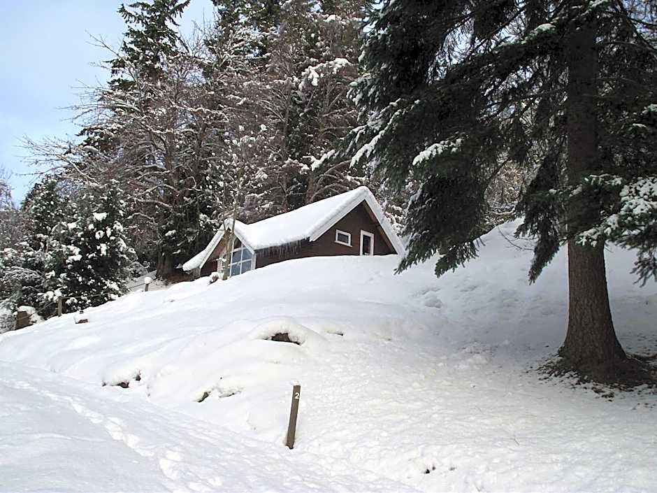 The Four Seasons Hotel