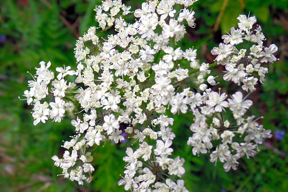 Le Temps d'une Pause