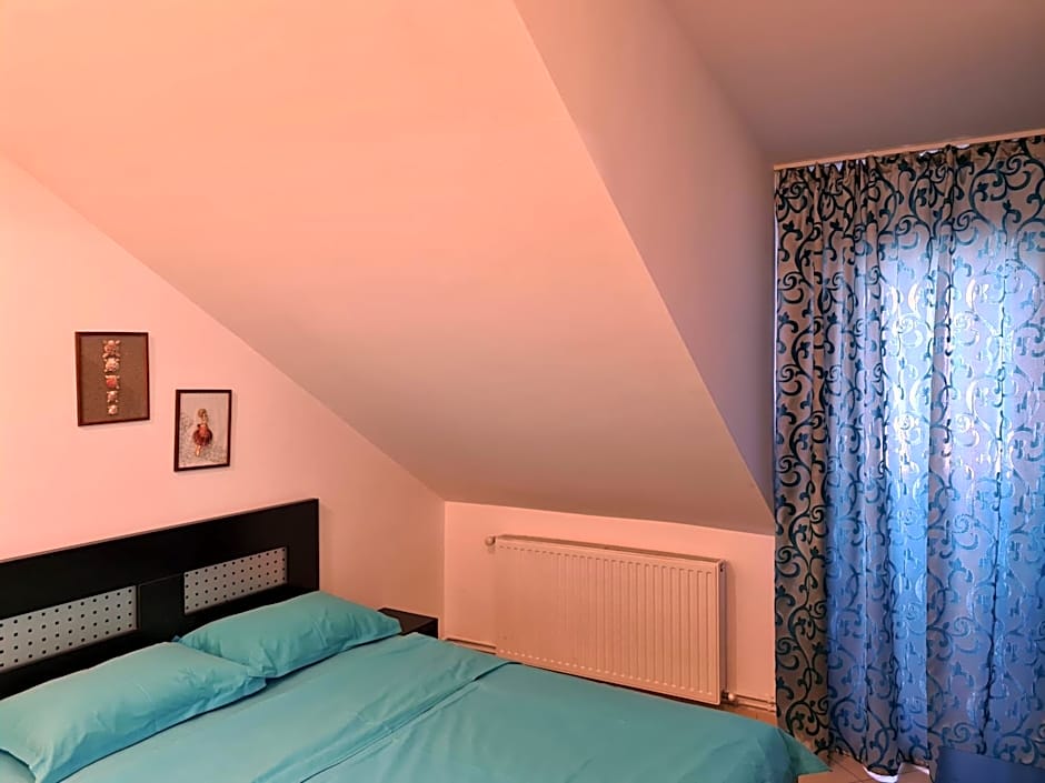 Vila Dini(La Rogojini)