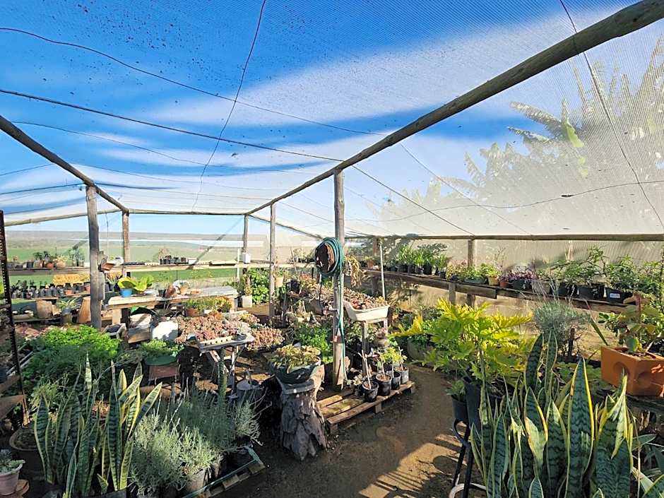 Homestead Bed and Breakfast - Travel Addo Group