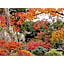 Yamashiro Onsen Yuzankaku - Vacation STAY 86432v
