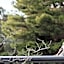 Shizuka Ryokan Japanese Country Spa & Wellness Retreat