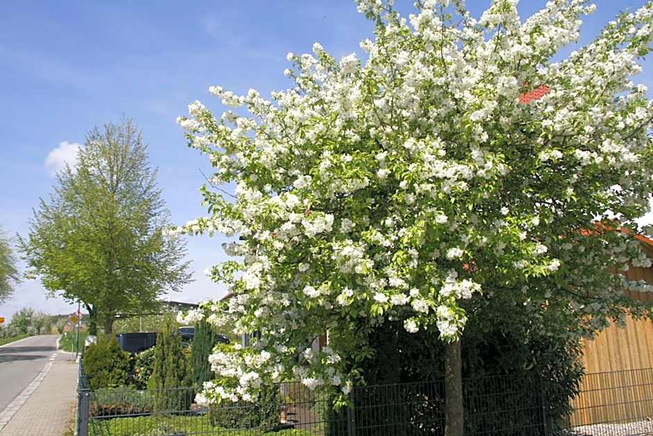 Waldvogel Ferienzimmer klimatisiert