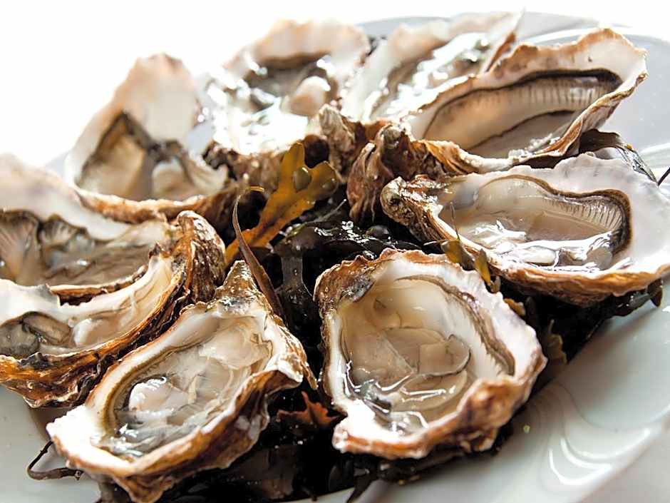 Grand Hôtel de Solesmes - Teritoria