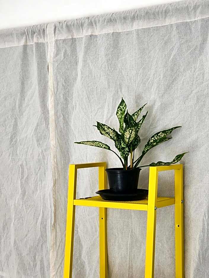 GOOD VIBE garden house Sattahip