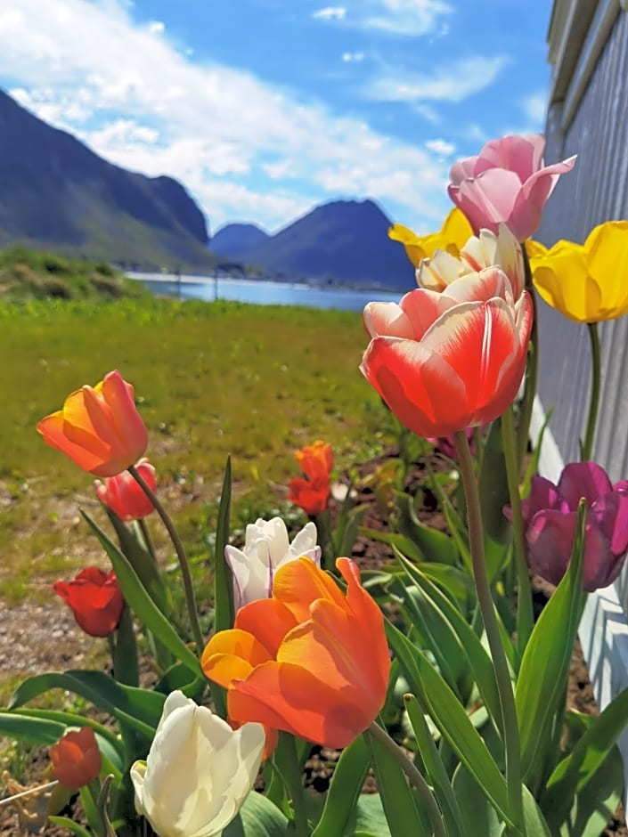 BanPim Beachside Lofoten