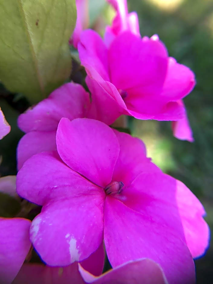 La Romance et la Romanesque