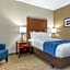 Comfort Inn Near Greenfield Village