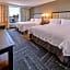 Hampton Inn By Hilton & Suites Minneapolis/Downtown