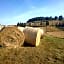 B & B CUORE TOSCANO