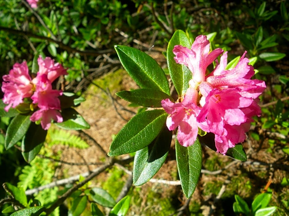 Le Temps d'une Pause