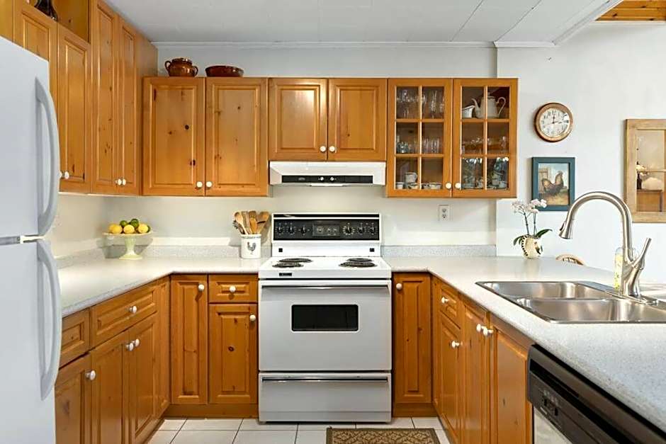 Bear Essentials Hideaway