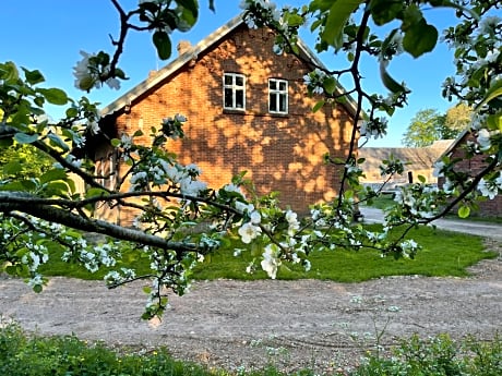 Store Stensig (landlig idyl ved Frederikshavn)