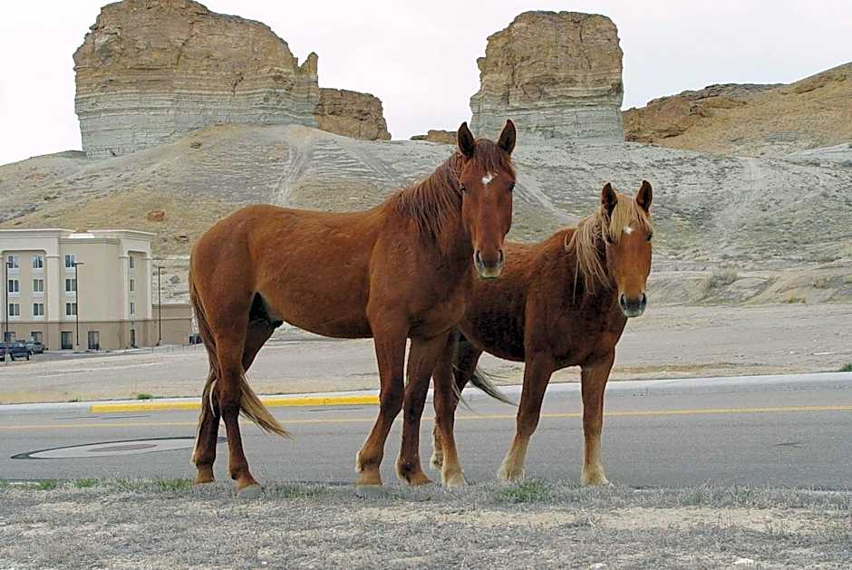 Hampton Inn By Hilton And Suites Green River, Wy