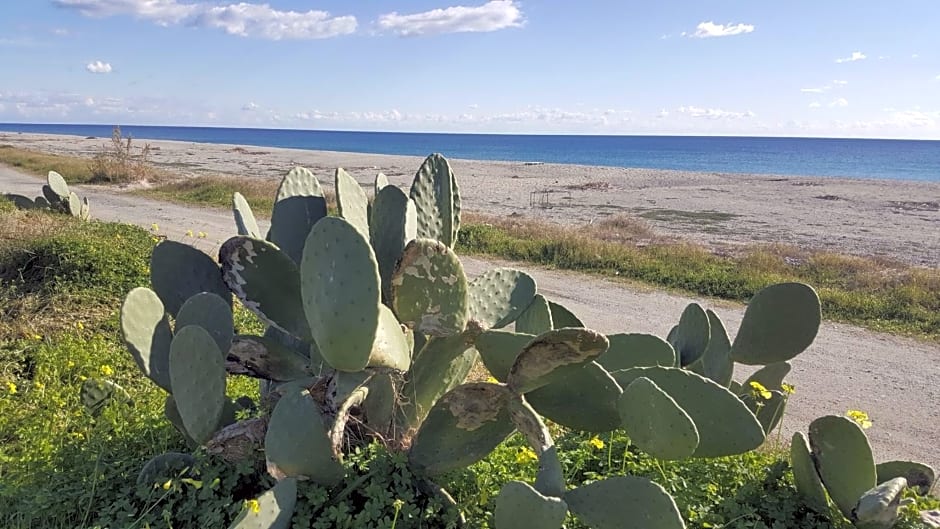 Magna Grecia B&B e Appartamenti