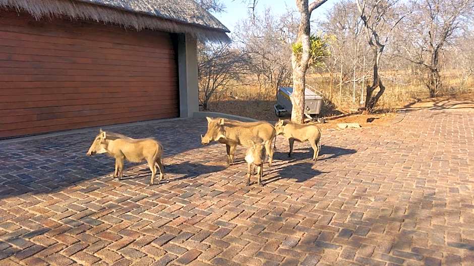 Call of the Wild Lodge