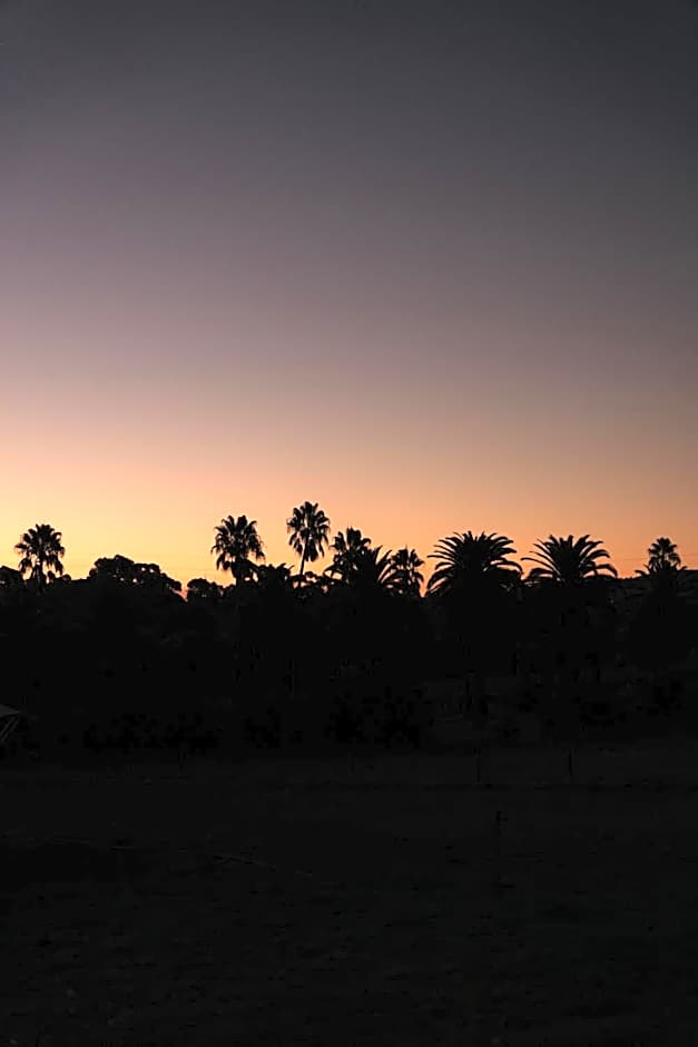 CANVS by CABN Seppeltsfield Barossa