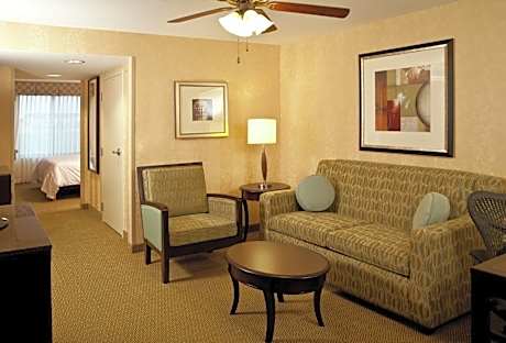 1 King Bed Junior Suite